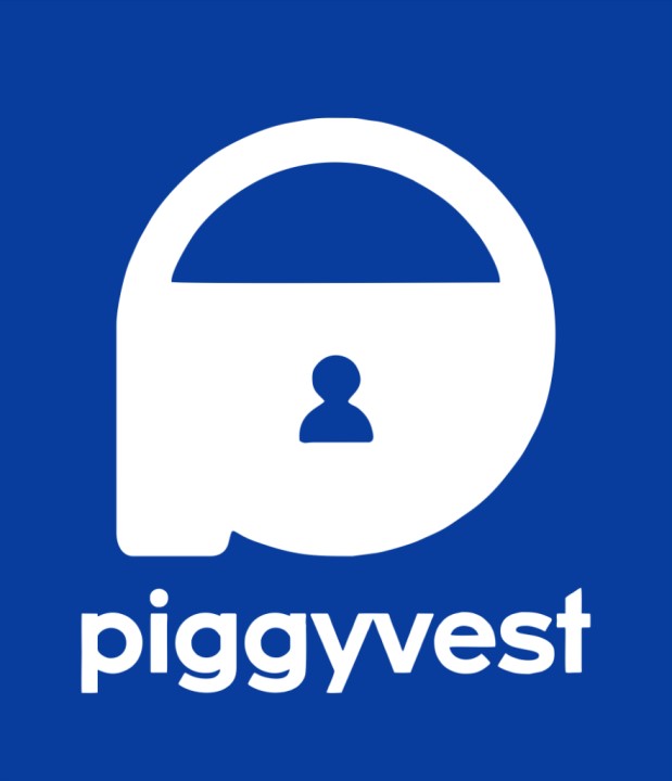 30% Of Nigerians Earn Below ₦100,000 As Savings Rates Fall, New PiggyVest Report Shows