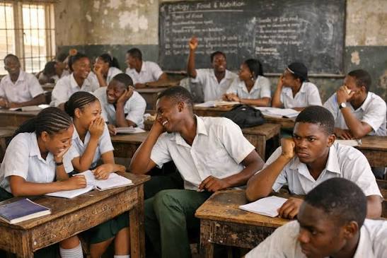 The Lie We Were Sold: Schooling Has No Age Limit