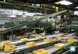 Lipton Expands Egypt Manufacturing Capacity With New Production Line To Boost Exports Across Africa And Global Markets In 2026