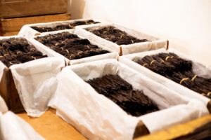 How Temu Helped A Madagascan Vanilla Family Business Sell Direct To Consumers Across Europe