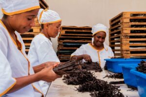 How Temu Helped A Madagascan Vanilla Family Business Sell Direct To Consumers Across Europe
