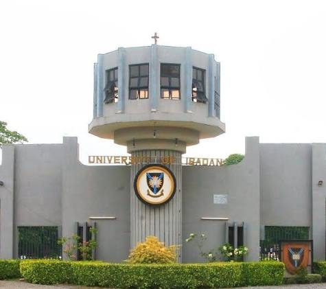 University Of Ibadan Launches 100% Online Postgraduate Programmes For 2026 Intake