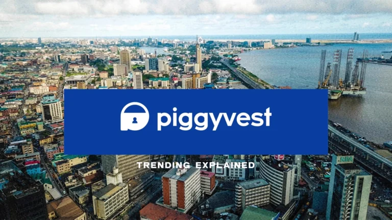 PiggyVest Report Reveals Only 1 In 10 Nigerians Can Raise N156,000 Within A Week