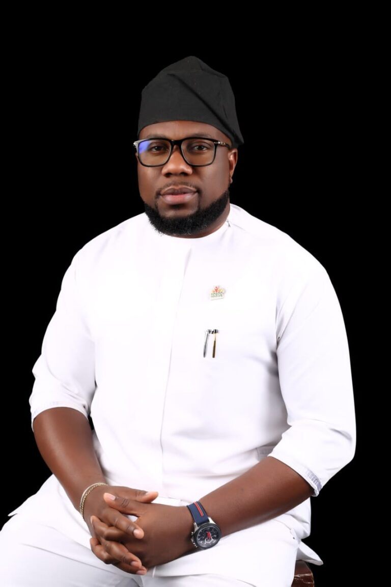 Chastest Launches LGA Connect, Gives Nigerians worldwide Direct Access To 774 LGAs