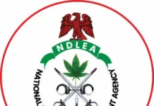 NDLEA Uncovers ₦6.98bn Tramadol Shipment Hidden In Maize Starch At Lagos Port