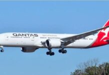 Qantas Grounds Boeing 787 After Bedbug Complaints Disrupt Rome Flight Qantas Grounds Boeing 787 After Bedbug Complaints Disrupt Rome Flight