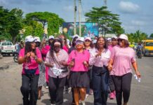 FMN Women Network Holds Nationwide Breast Cancer Awareness Walk FMN Women Network Holds Nationwide Breast Cancer Awareness Walk