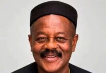 MAN Elects Juhel CEO Ifeanyi Eric Okoye as 12th President, Succeeds Francis Meshioye